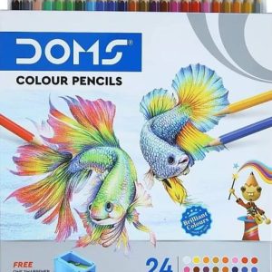 DOMS colour pencil-1 Pencil