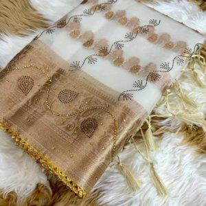 Divastri Embellished Banarasi Organza Saree