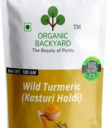 Organic Backyard 100% Natural Wild Turmeric Powder (Kasturi Manjal / Amba Haldi / Jangli Haldi)  (100 g)