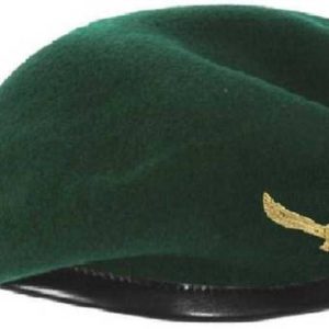 Worldstyle Solid Beanie