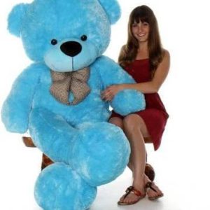 FamilyStore Stuffed Spongy Huggable Smartoys Cute & Sof...