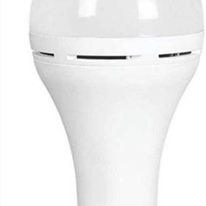 Dunagiri 12 W Inverter Standard B22 D LED Bulb