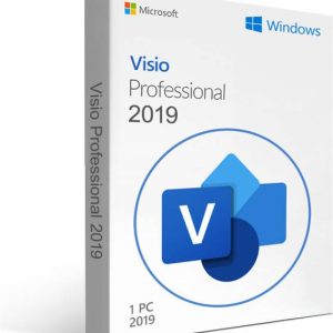 MICROSOFT Visio Professional 2019 For Windows (1 User, ...