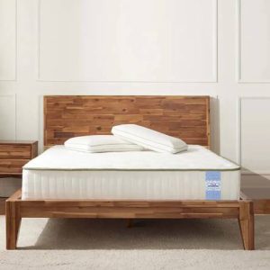 SPRINGTEK Orthoapedic Natural Latex Memory Foam 6 inch ...