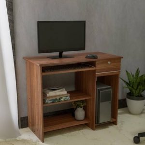 NEUDOT BINGO Engineered Wood Computer Desk