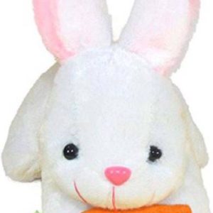 SPD Teddy Soft Cute Rabbit With Carrot - 26.36 cm
