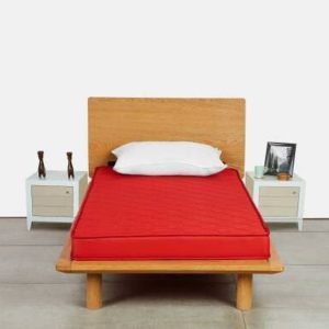 Dadiwal Matress Bed_Matress 5 inch Single PU Foam Mattr...
