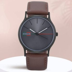 PETER ENGLAND Analog Watch - For Men PE000014D