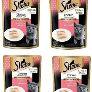 Sheba sheba kitten gravy combo of 4 pcs by footwear jun...