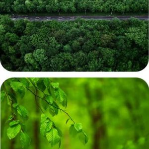 escope Pack fo 2 Nature Printed MousePad for Computer, ...