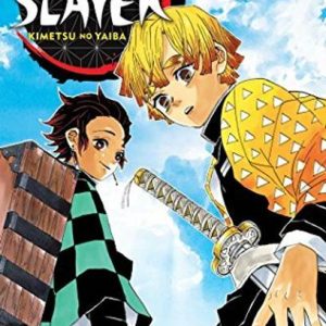 Demon Slayer Manga Vol 3