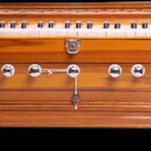 BestBrother Bass Reed & Male Reed & 39 Keys+ 7 Stopper ...