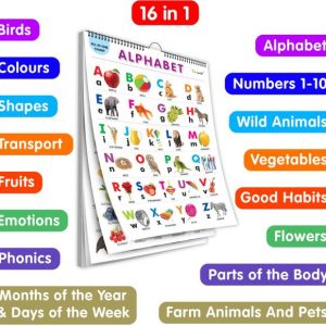 GO WOO My First ALL IN ONE SPIRAL CHART : With 16 Topic...