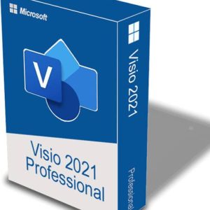MICROSOFT Visio Professional 2021(New) for Windows (1 U...