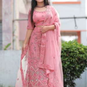 VD-TNG Embroidered Semi Stitched Lehenga Choli