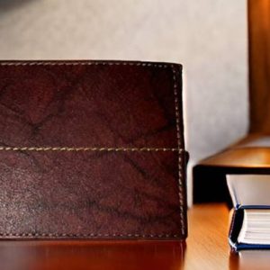 Kastner Men Casual Brown Genuine Leather Wallet