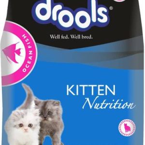 Drools Ocean Fish 4 kg Dry Young Cat Food