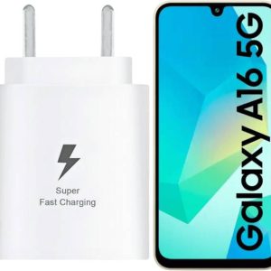 RoarX 25 W Quick Charge 3 A Wall Charger for Mobile