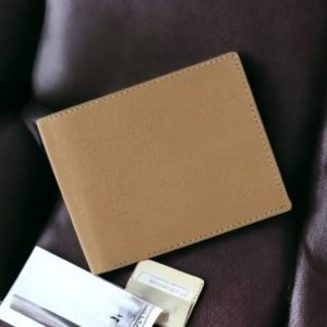 Kastner Men Casual Beige Artificial Leather Wallet
