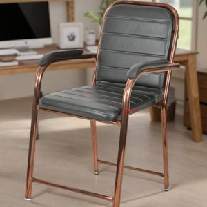 NEW GOYAL FURNITURE Office Study Chair With Copper Poli...