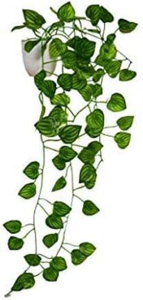 fancymart Home Decor Real Touch Vine Plant Falling Ntur...