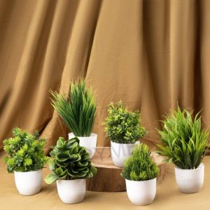 Ryme Small Size Set Of 6 Artificial Plant For Home And ...