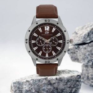 PETER ENGLAND 2023 Edition Analog Watch - For Men PE000061A