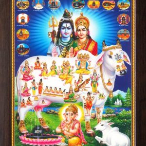 Artcoin Lord Shiva with Kamadhenu Cow and Various God P...