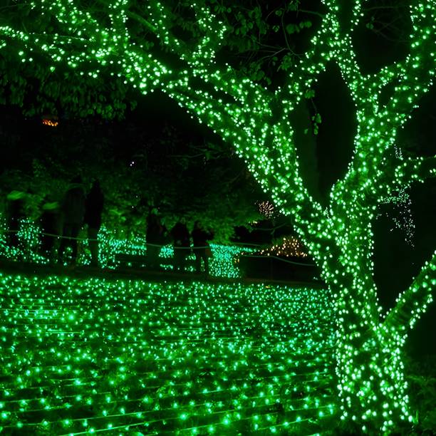 Vespa 20 Meter 54 LED Decorative Still LED String Light...