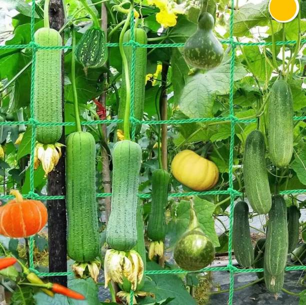 AAYUTRI Plant Creeper Net (10 ft x 12 ft) Climbing Net/...