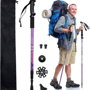 Holy Delight 3 Section Trekking Pole