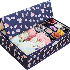 HOUSE OF QUIRK Innerwear Organizer 15+1 Compartment Non...