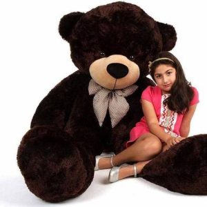 Pocketfriendly Soft Tedddy Bear Choco Color Size-3 Feet...