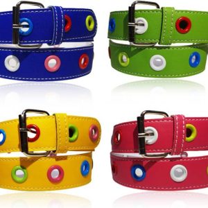 Gladsome Boys & Girls Casual Blue, Green, Yellow, Pink Artificia...