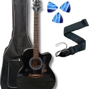 musical works SAB-GUITAR-04 Acoustic Guitar Tonewood Ro...