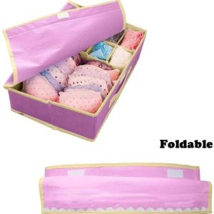 CEREVEL Non Woven 16 Compartment Foldable Innerwear Lin...