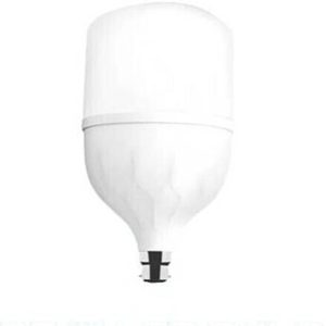 Dunagiri 25 W Basic Standard B22 LED Bulb