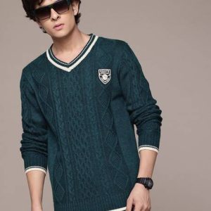 Roadster Men Self Design V Neck Green Sweater