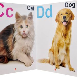 GoodsNet My First Board Book Of Alphabet Single Picture...