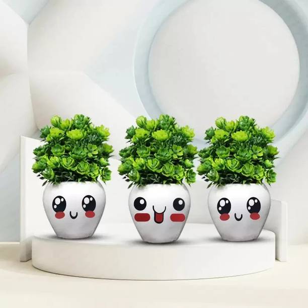beecraft Combo Beautiful Plants for Office Decoration, ...
