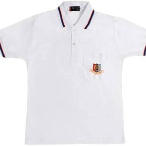 shree maruti shopping Men Solid Polo Neck Cotton Blend White T-Shirt