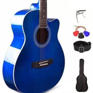 KADENCE KAD-FNTR-BLU-SC(with Online Classes) Acoustic G...