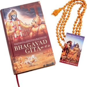 Bhagavad Gita As It Is : English (Mantra Meditation Bea...