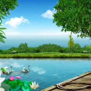 Manas Nature Scenery Wall sticker for home/living Room/...