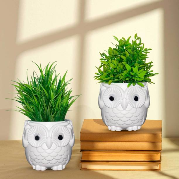 Handybee Owl Pot with Fake Plants Small (Pack of 2), Gr…
