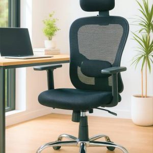 Oakcraft Jazz Ergonomic with Height Adjustable Handrest...