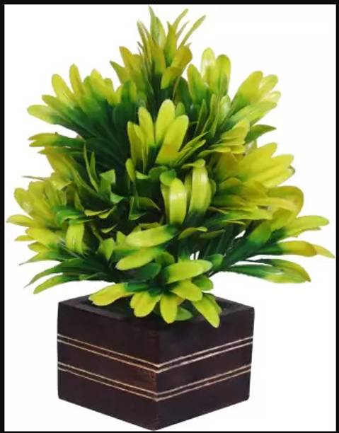 zonezer Artificial bonsai With Wooden Square Pot for Ho…