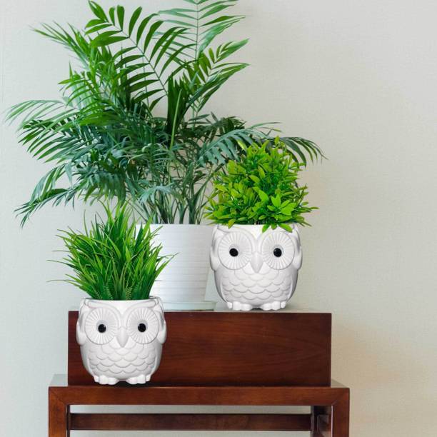 DODECROO 2~Owl Pot With Artificial Plant & Home Decorat...