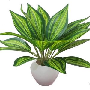 BAARIG Natural Looking Artificial Rubber Plant For Indo...