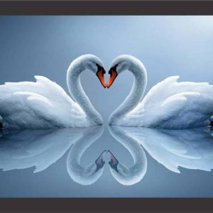 Mad Masters Love Birds Designer Painting with Wooden Fr...